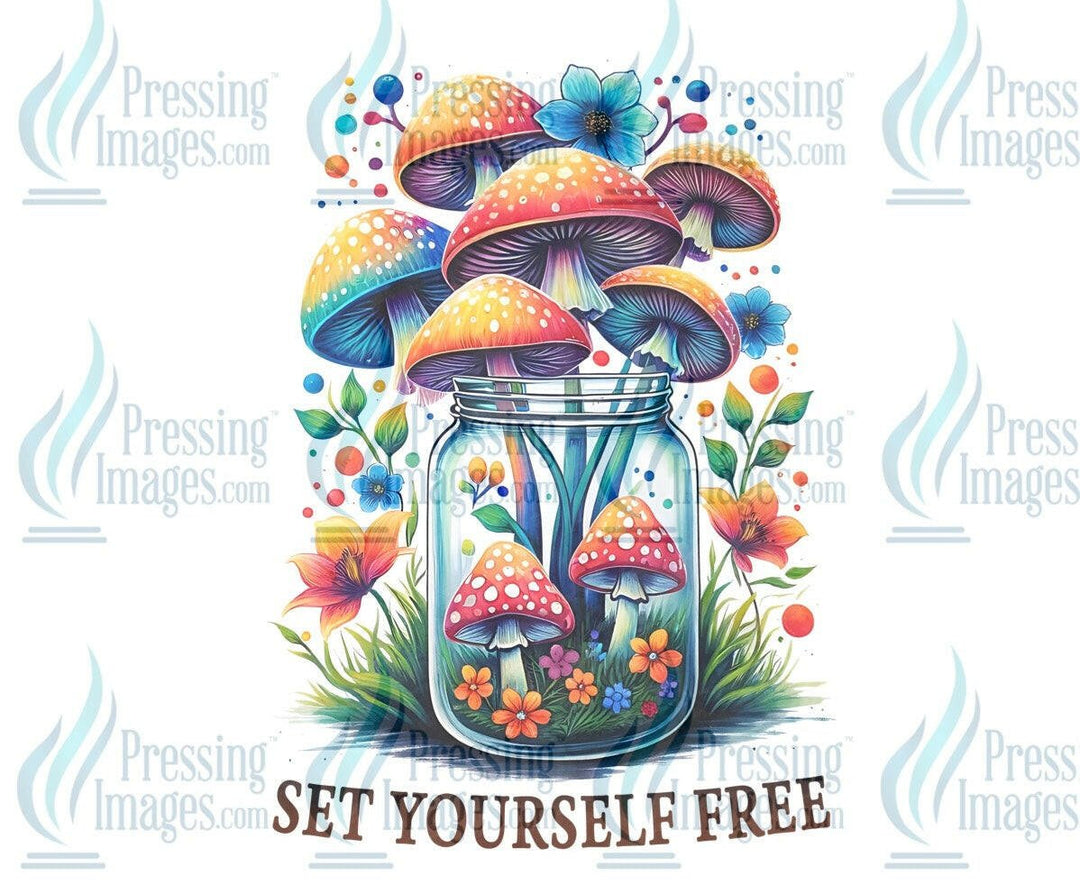 DTF: 804 Set yourself free - Pressing Images