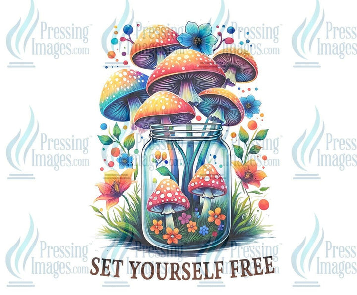 DTF: 804 Set yourself free - Pressing Images