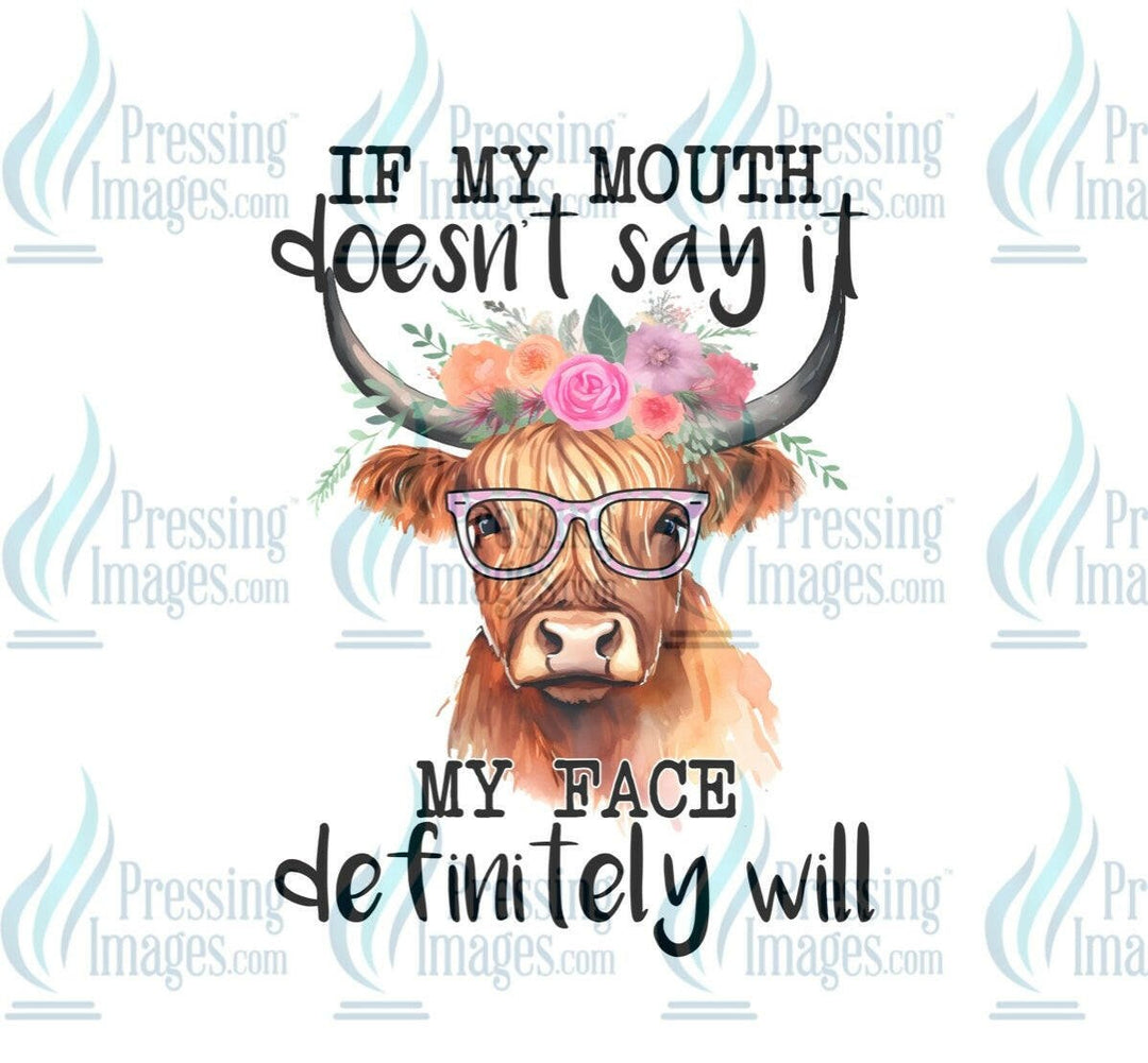 DTF: 824 If my mouth doesn’t say I my face will - Pressing Images