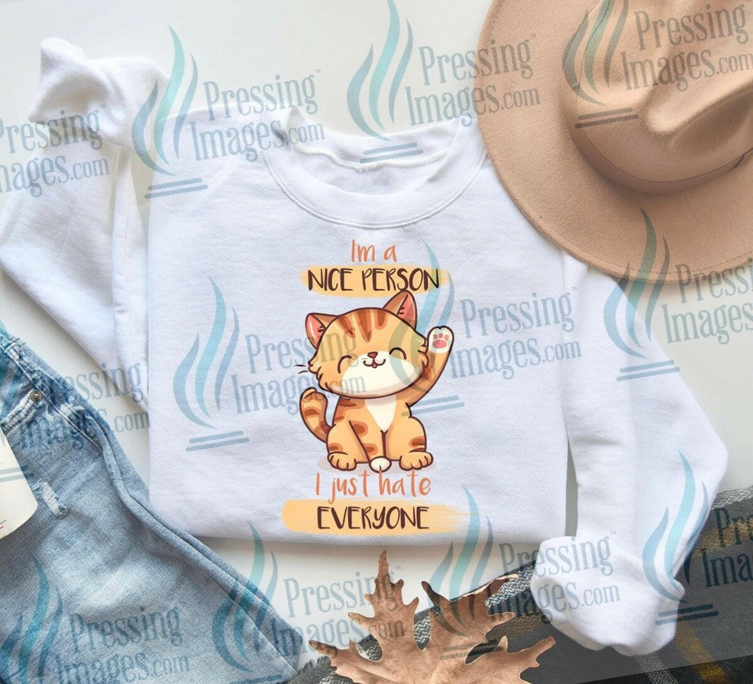 DTF: 828 I’m a nice person I just hate everyone - Pressing Images