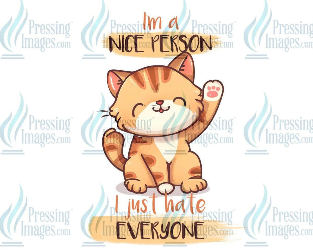 DTF: 828 I’m a nice person I just hate everyone - Pressing Images