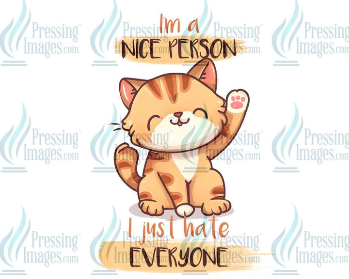 DTF: 828 I’m a nice person I just hate everyone - Pressing Images