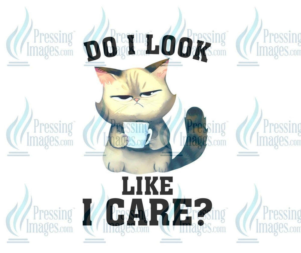DTF: 834 Do I look like I care? - Pressing Images