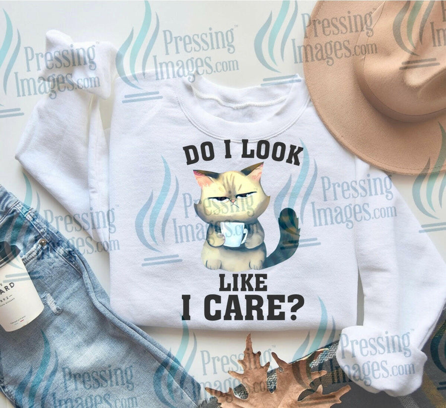 DTF: 834 Do I look like I care? - Pressing Images