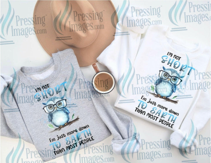 DTF: 844 I’m not short just down to earth - Pressing Images