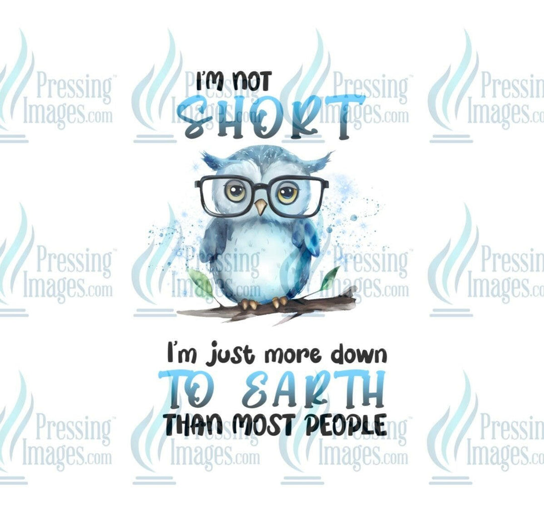 DTF: 844 I’m not short just down to earth - Pressing Images