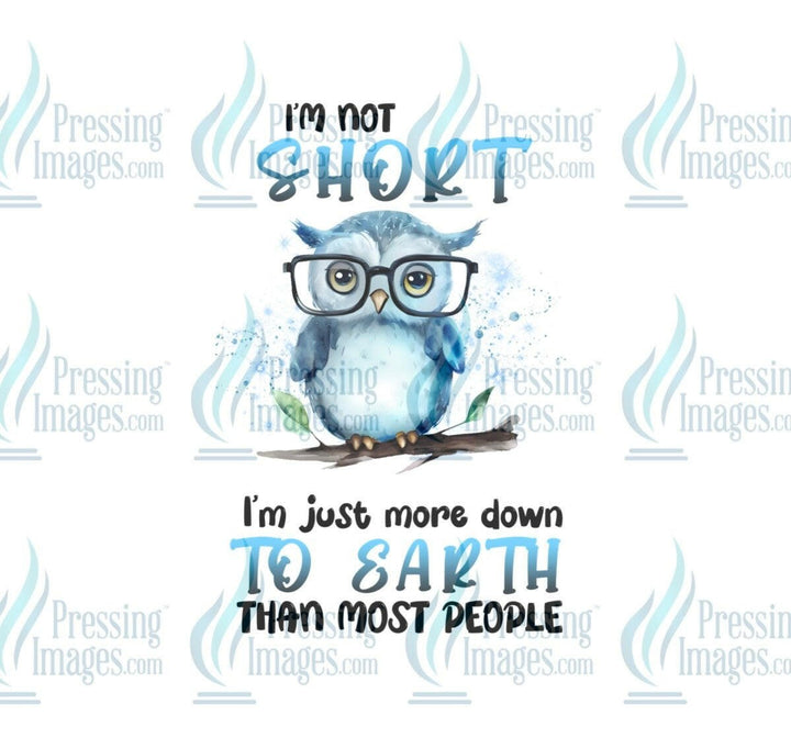 DTF: 844 I’m not short just down to earth - Pressing Images