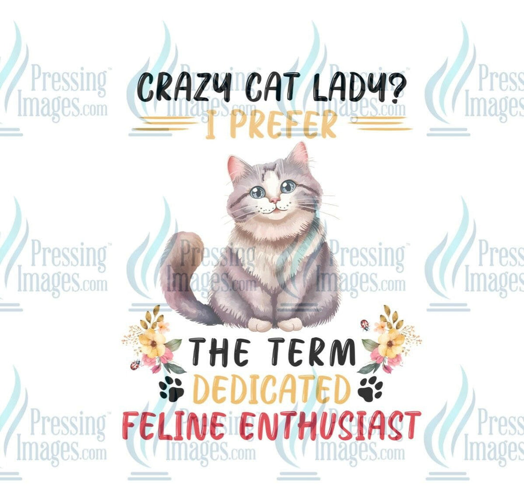 DTF: 846 Crazy cat lady I prefer…… - Pressing Images