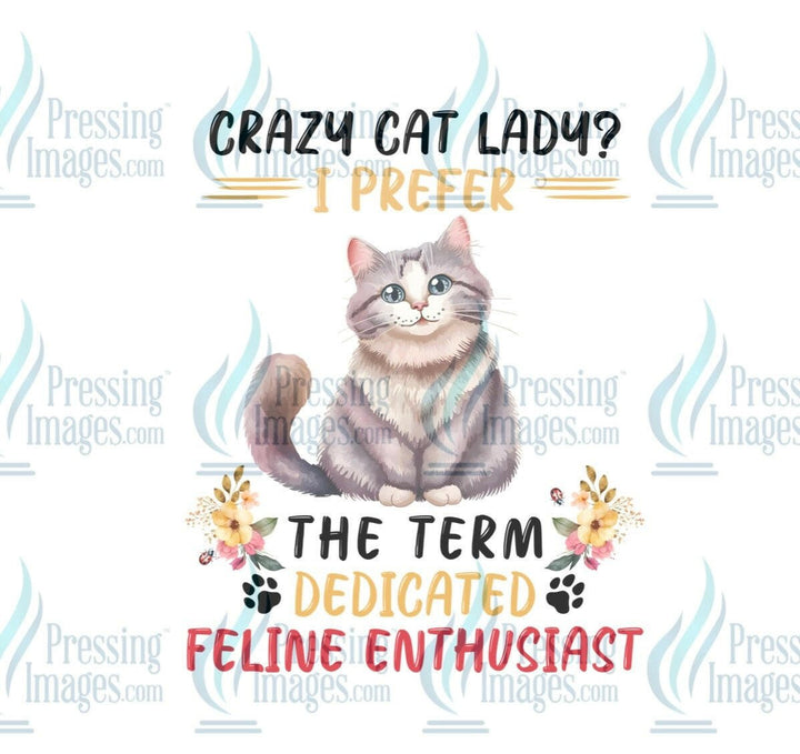 DTF: 846 Crazy cat lady I prefer…… - Pressing Images