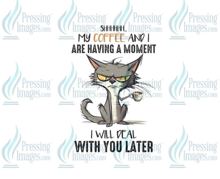DTF: 857 Shhh my coffee and I are having a moment - Pressing Images