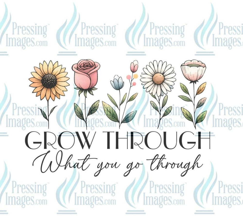 DTF: 900 Grow through what you go through - Pressing Images