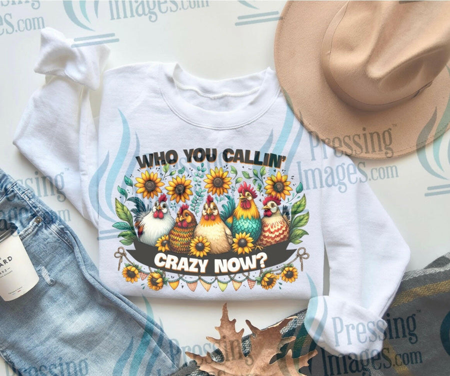 DTF: 916 Who you callin crazy now - Pressing Images