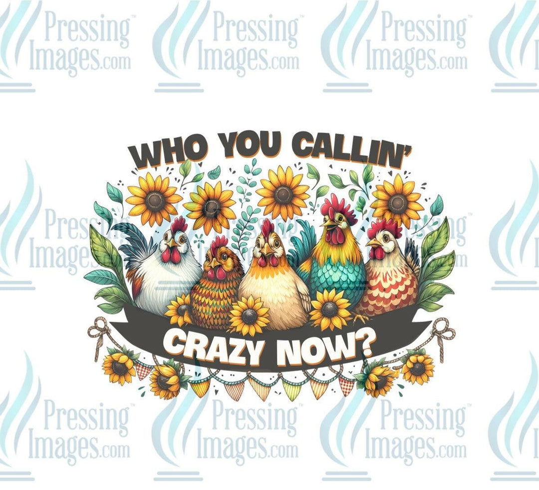 DTF: 916 Who you callin crazy now - Pressing Images