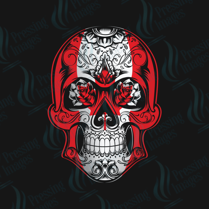 DTF HP 1107 Canada Skull - Pressing Images