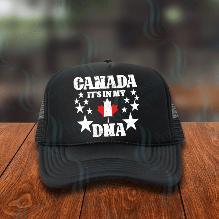 DTF HP 1113 Canada It's In My DNA - Pressing Images