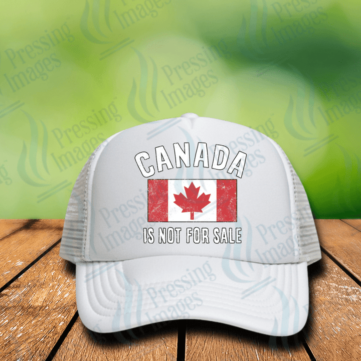 DTF HP 1115 Canada Is Not For Sale - Pressing Images