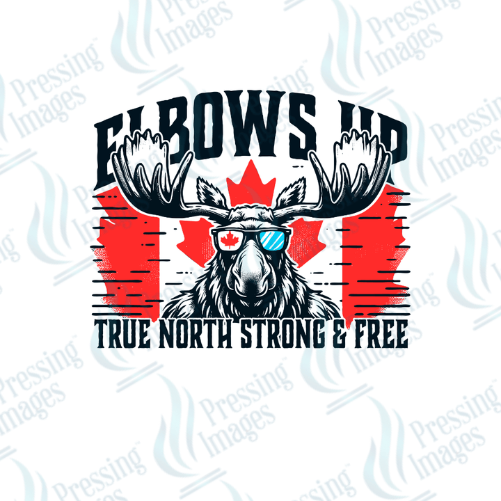 DTF HP 1123 Elbows Up Moose - Pressing Images