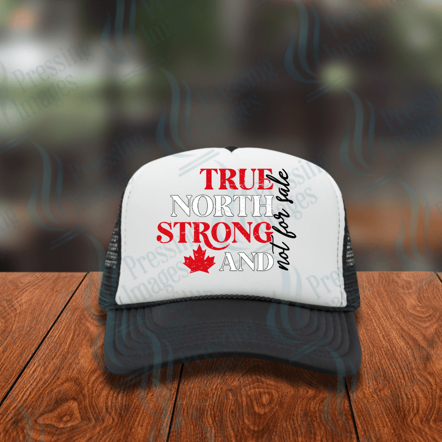 DTF HP 1129 True North Strong and Free - Pressing Images