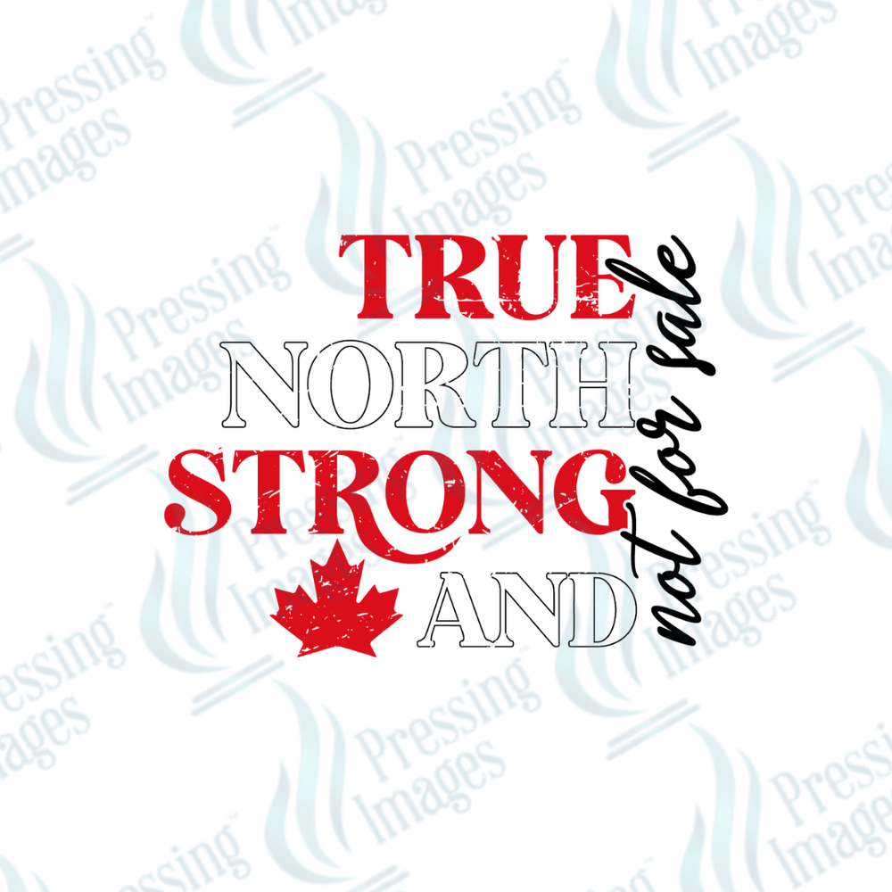 DTF HP 1129 True North Strong and Free - Pressing Images