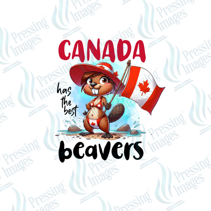 DTF 2715 Canadian Beaver's