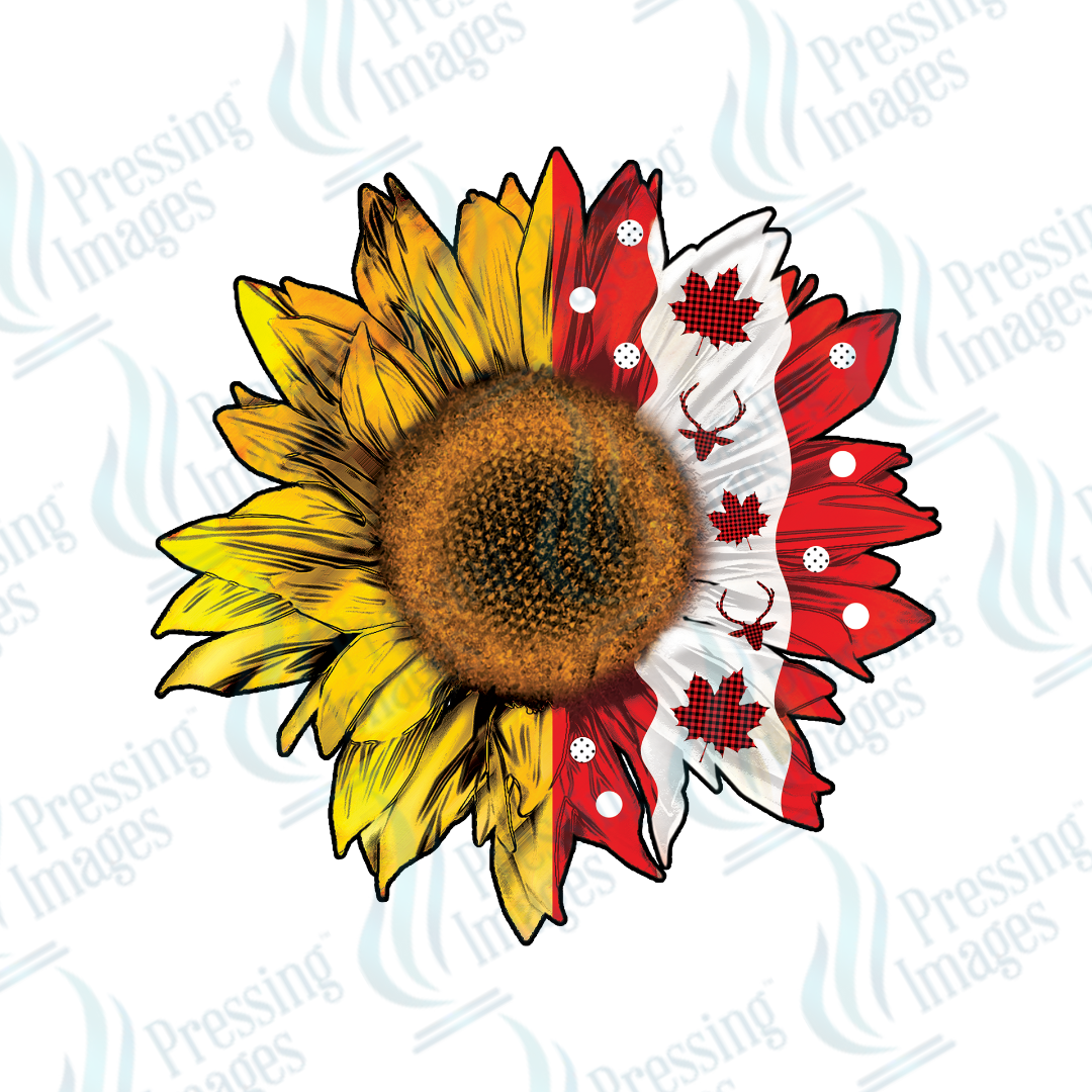 DTF 2714 Sunflower Canadian