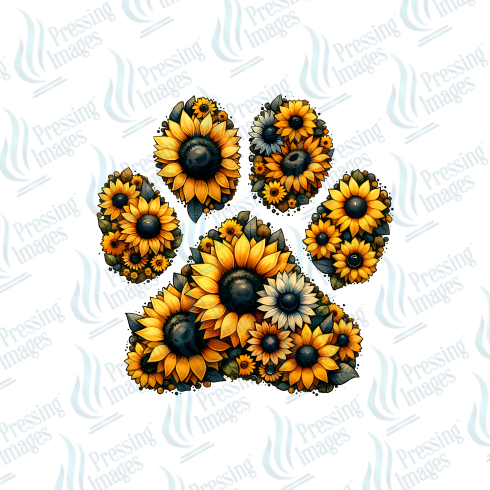 UVD 2356 Sunflower Paw — detail view — Pressing Images Canada