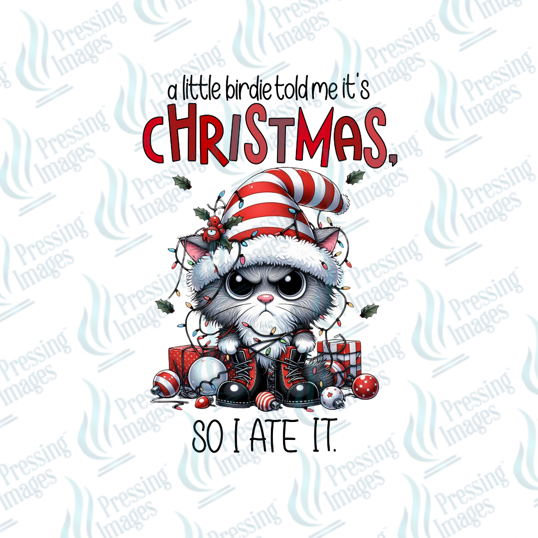 A Little Birdie Told Me Its Christmas | Pressing Images (#6761)