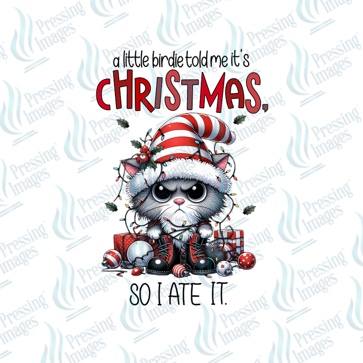 A Little Birdie Told Me Its Christmas | Pressing Images (#6761)