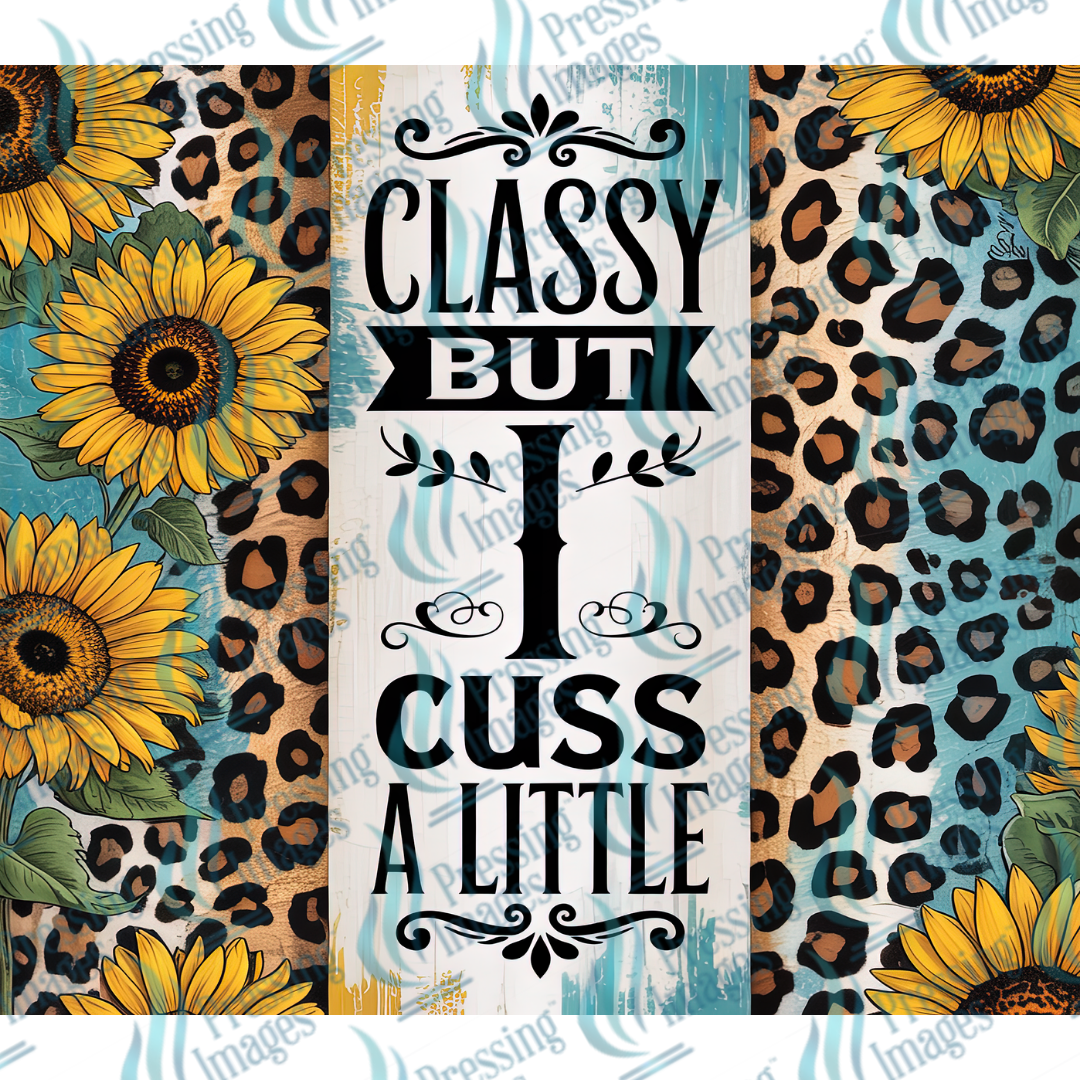 15003 Classy But I Cuss A Little