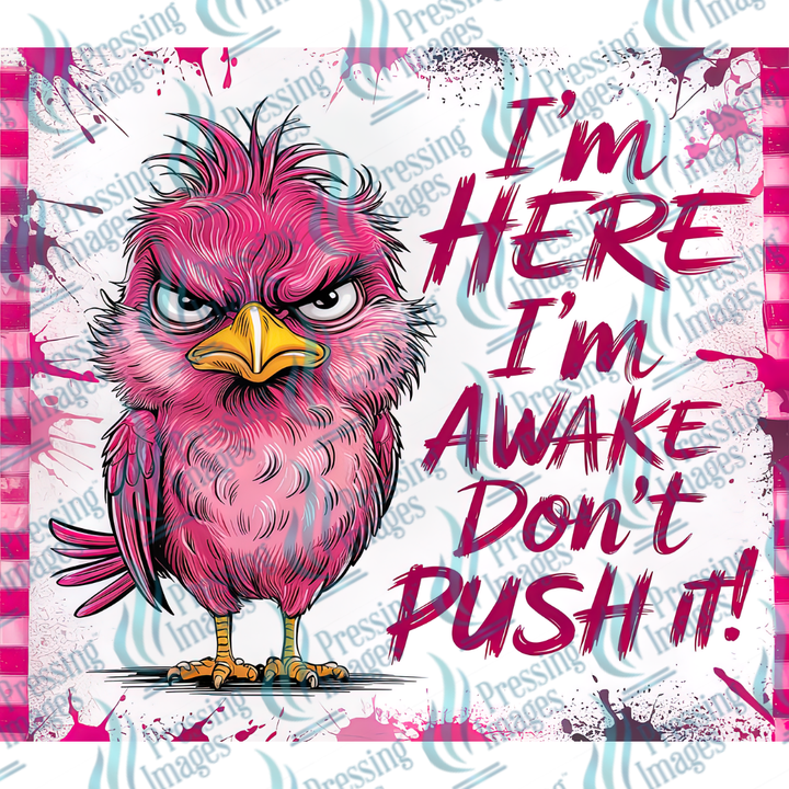 15004 I'm Here I'm Awake