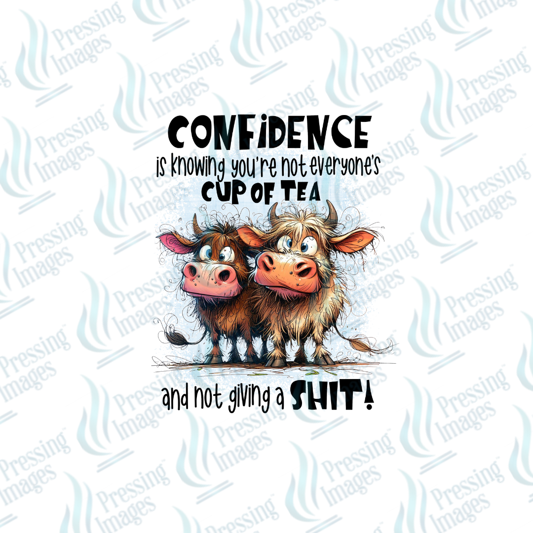 UVD 6780 Confidence Is Knowing