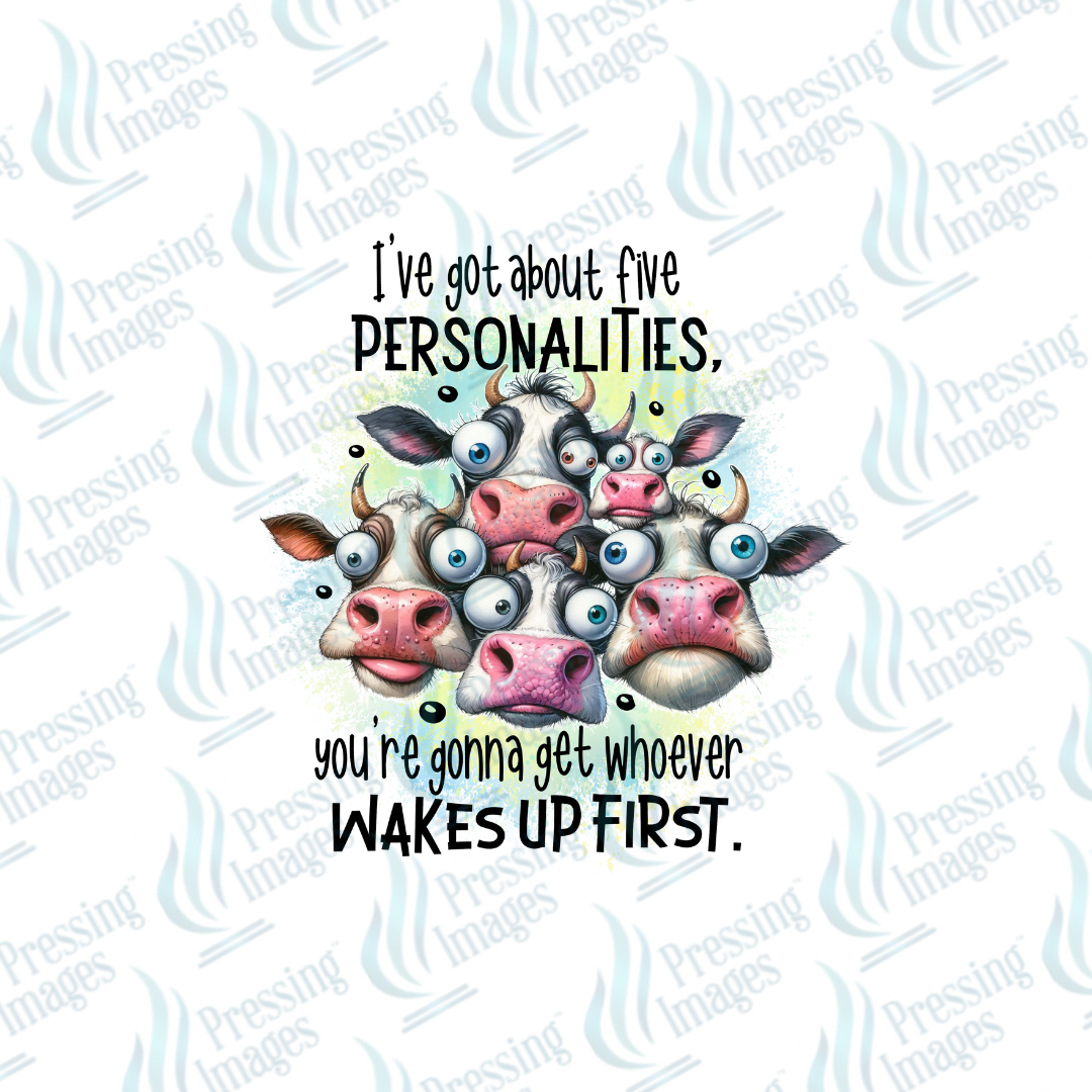 UVD 6789 I've Got About Five Personalities