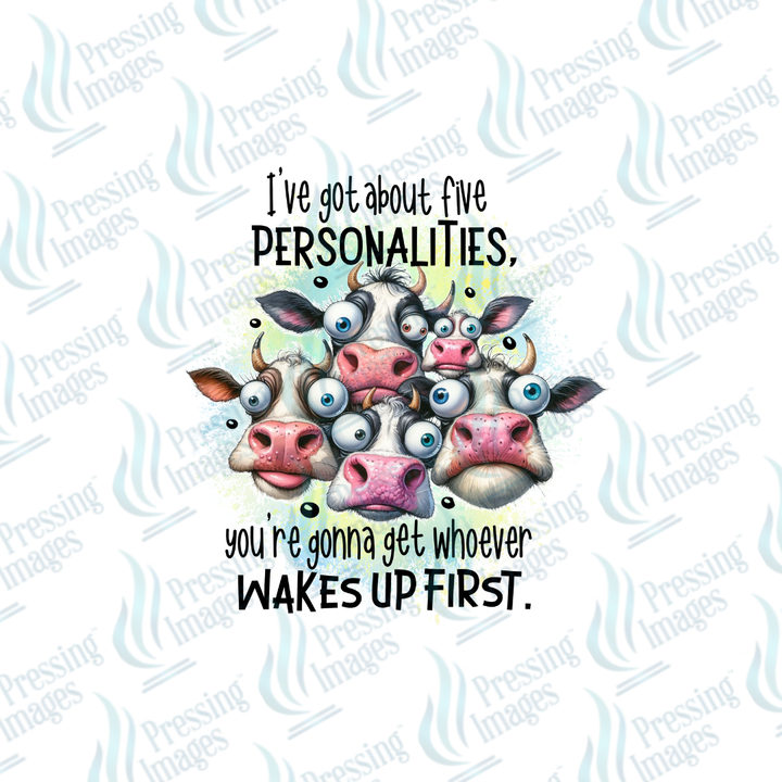 UVD 6789 I've Got About Five Personalities