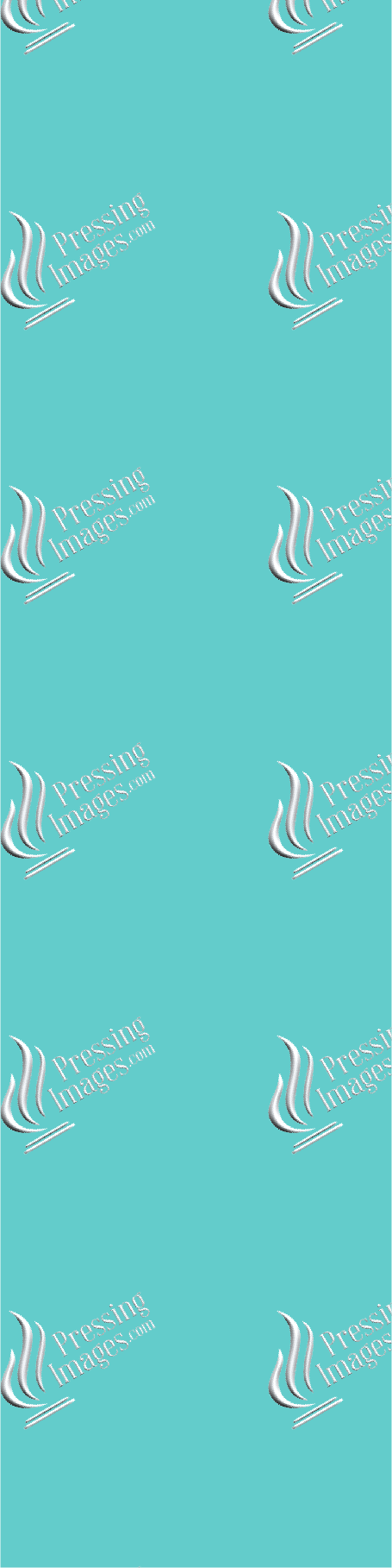 PI 0411 3D Paw Print Bookmark Decal & Acrylic Blank - Pressing Images