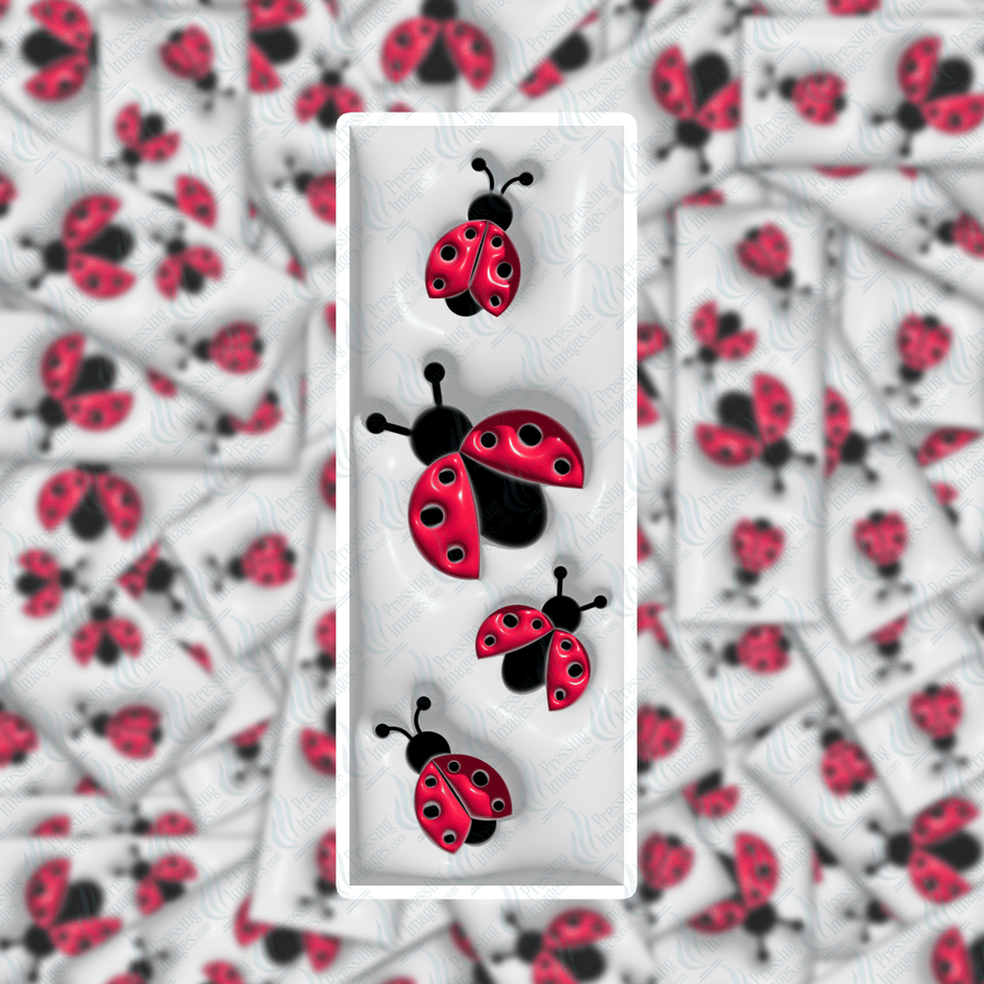 PI 0412 3D Lady Bug Bookmark Decal & Acrylic Blank - Pressing Images