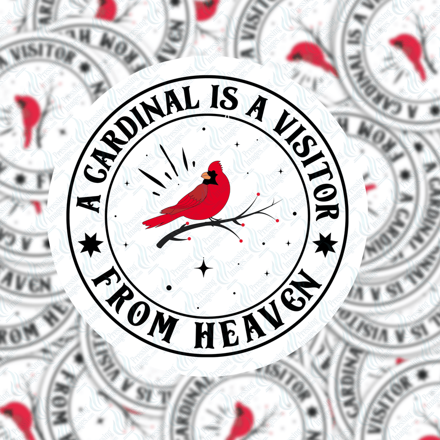 PI 5141 Visitor Cardinal 3" Decal & Acrylic Blank - Pressing Images