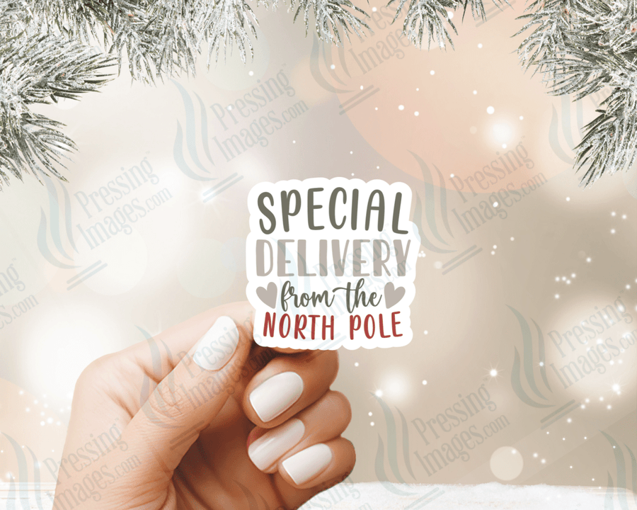 ST 125 Special Delivery From The North Pole - Pressing Images