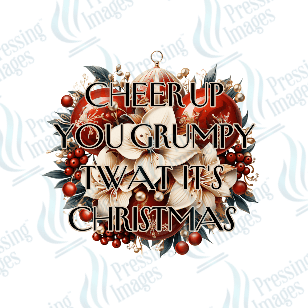 UVD 1723 Cheer up - Pressing Images