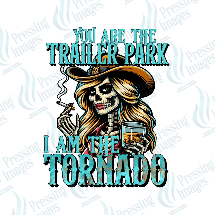 UVD 1732 You are the trailer park - Pressing Images