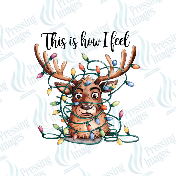 UVD 1743 This is how I feel - Pressing Images