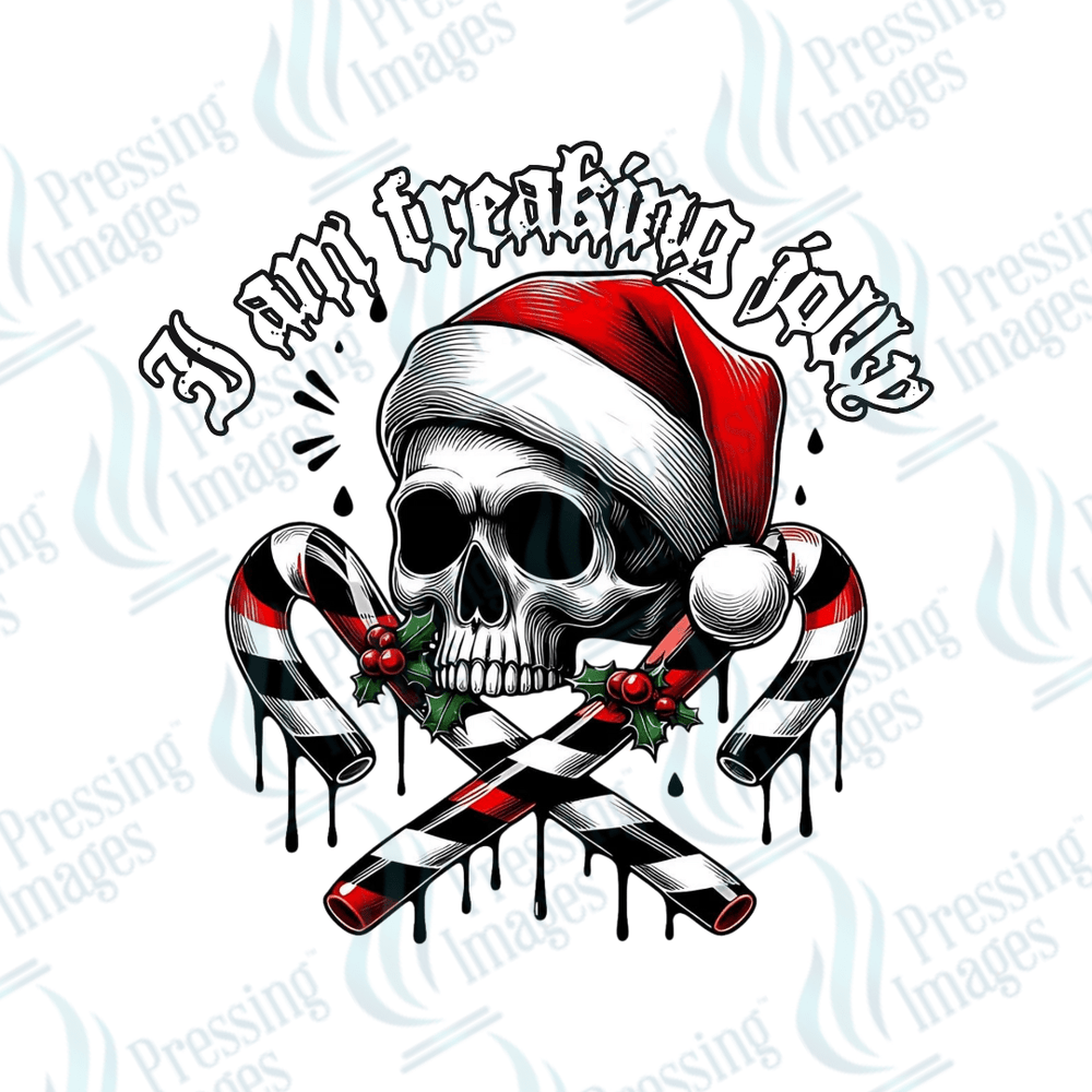 UVD 1757 I am freaking jolly - Pressing Images