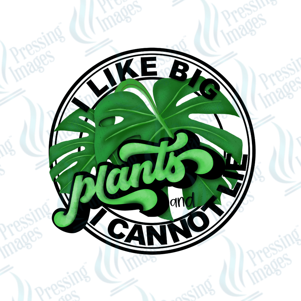 UVD 1805 I like big plants - Pressing Images