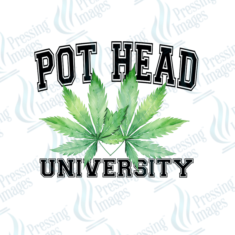 UVD 1810 Pot head university - Pressing Images