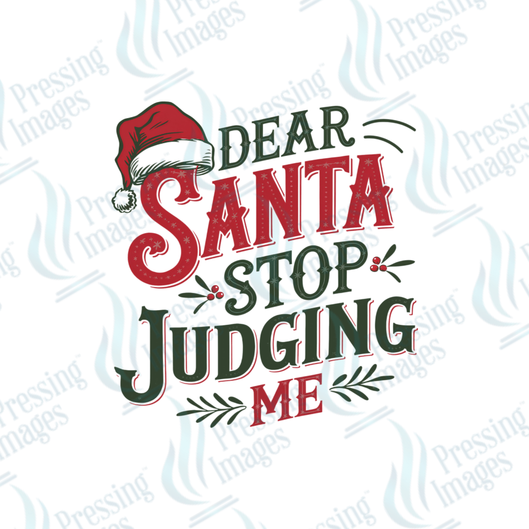 UVD 1819 Dear Santa stop judging me - Pressing Images