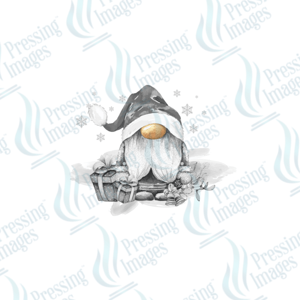 UVD 1829 Silver gnome - Pressing Images