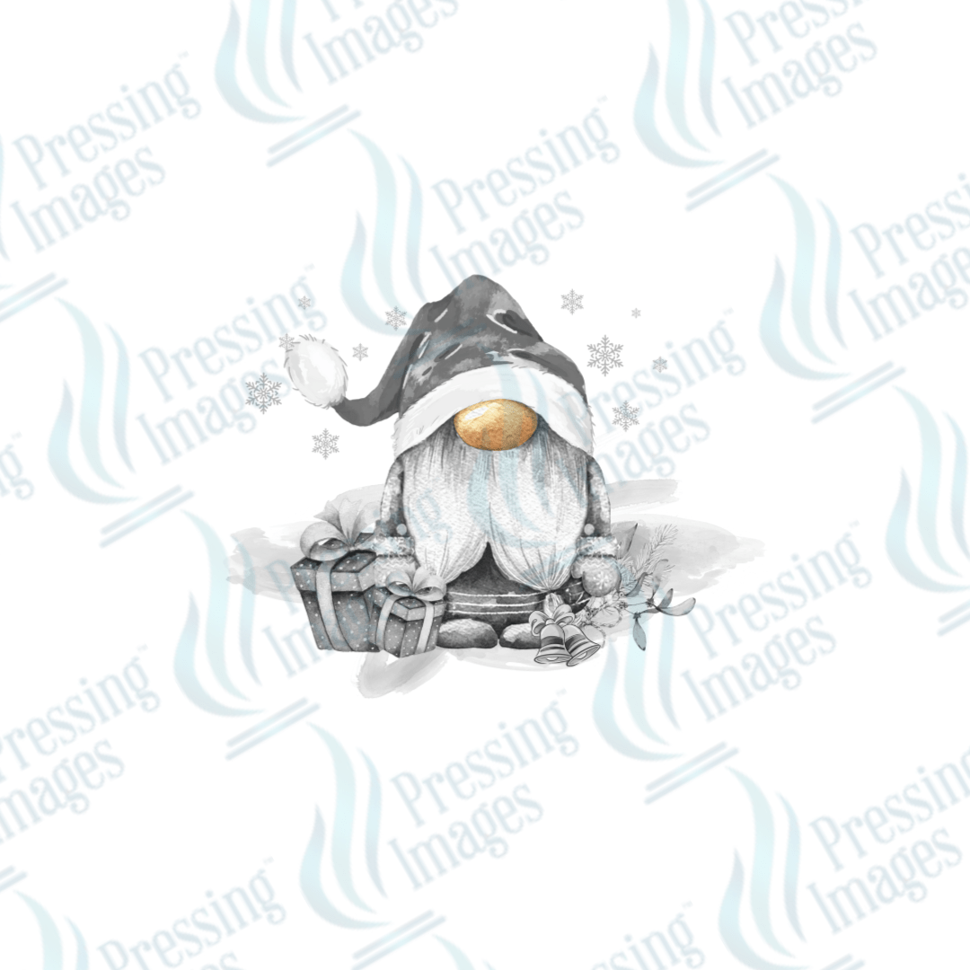 UVD 1829 Silver gnome - Pressing Images