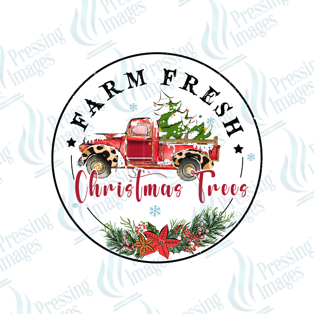 UVD 1833 Farm fresh Christmas trees - Pressing Images