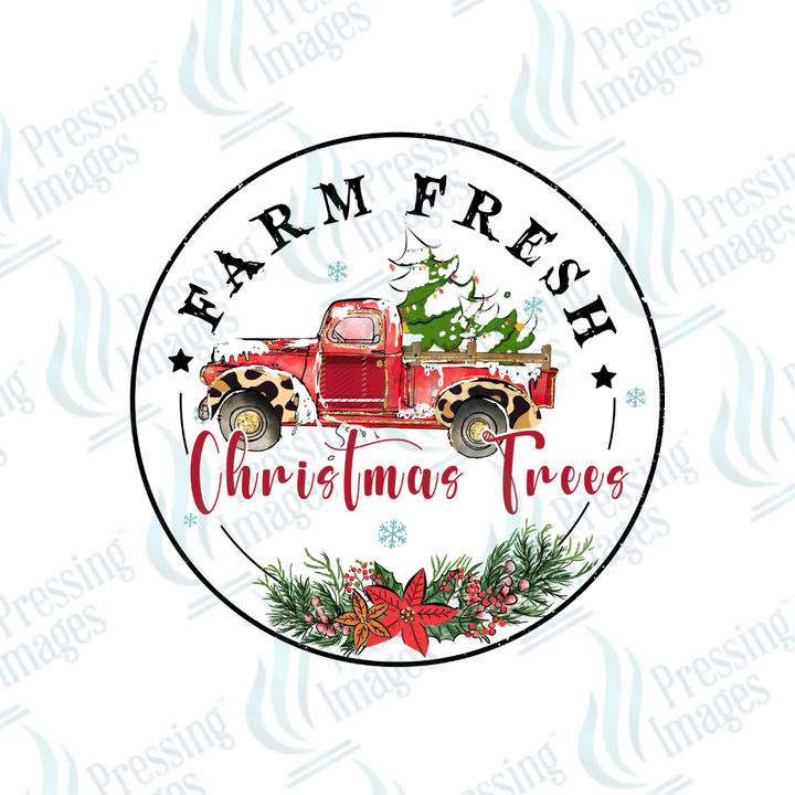 UVD 1833 Farm fresh Christmas trees - Pressing Images