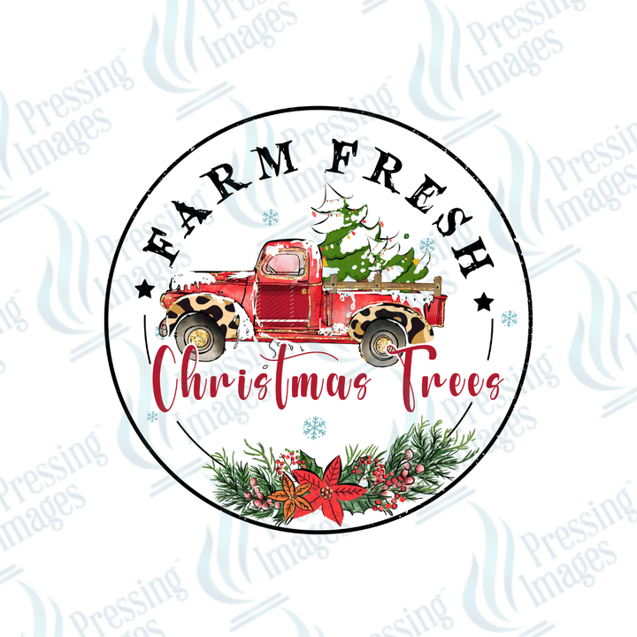 Farm Fresh Christmas Trees | Pressing Images (#1833)