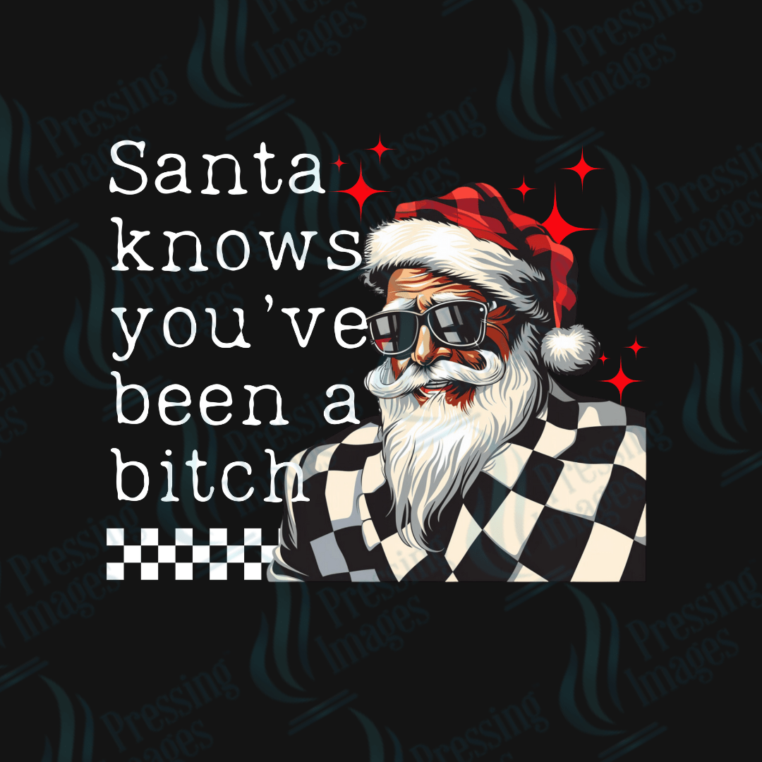 UVD 1948 Santa knows you've been a bitch - Pressing Images